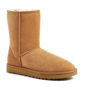 Chestnut Short Ugg boots